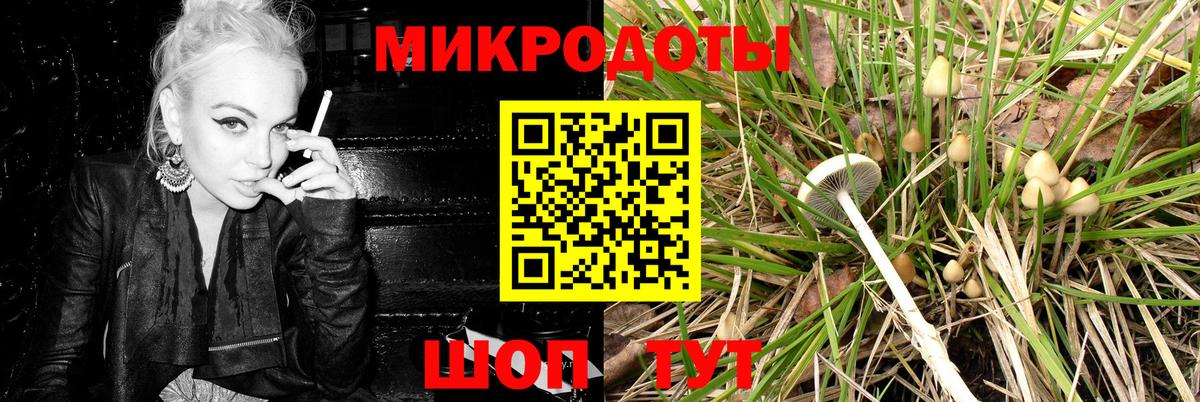 Псилоцибиновые грибы мухоморы  Вход с VPN  Псилоцибиновые грибы мухоморы  Красноармейск 