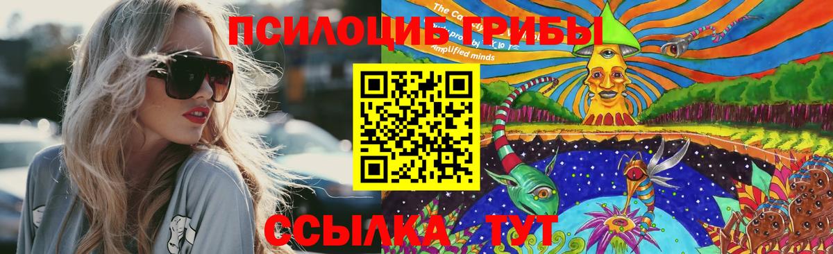 Псилоцибиновые грибы Cubensis Красноармейск